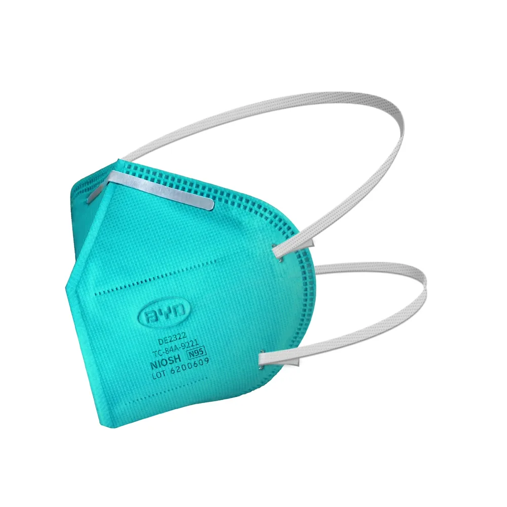 FG Safety Disposable Respirators