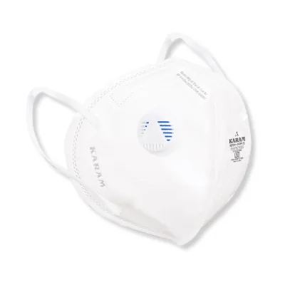 FG Safety Disposable Respirators