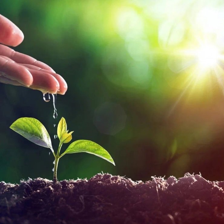 Eco-Friendly Practices